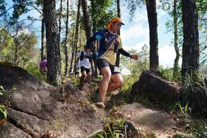 BIB: 
                            <button type="button" onclick="openModal(18916297)" class="btn btn-primary btn-sm float-right btn-popup" data-toggle="modal" data-target=".modal-high-quality">
                        <i class="fas fa-shopping-cart"></i> Add to Cart
                    </button>
                                            <button type="button" onclick="isThisMe(18916297, true)" class="btn btn-success btn-sm float-right btn-popup btn-isme hidden" data-toggle="tooltip" data-placement="bottom" title="นี่คือรูปของคุณใช่ไหม คลิกที่นี่เพื่อเอาเข้าอัลบั้ม">
                        <i class="fas fa-plus"></i> Add to album
                    </button>
                    <button type="button" onclick="isThisMe(18916297, false)" class="btn btn-warning btn-sm float-right btn-popup btn-isnotme hidden">
                        <i class="fas fa-ban"></i> Remove from album
                    </button>